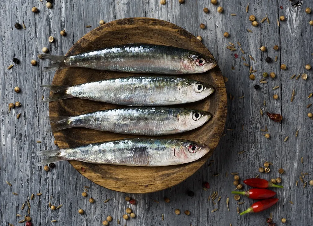 Peixe gordo